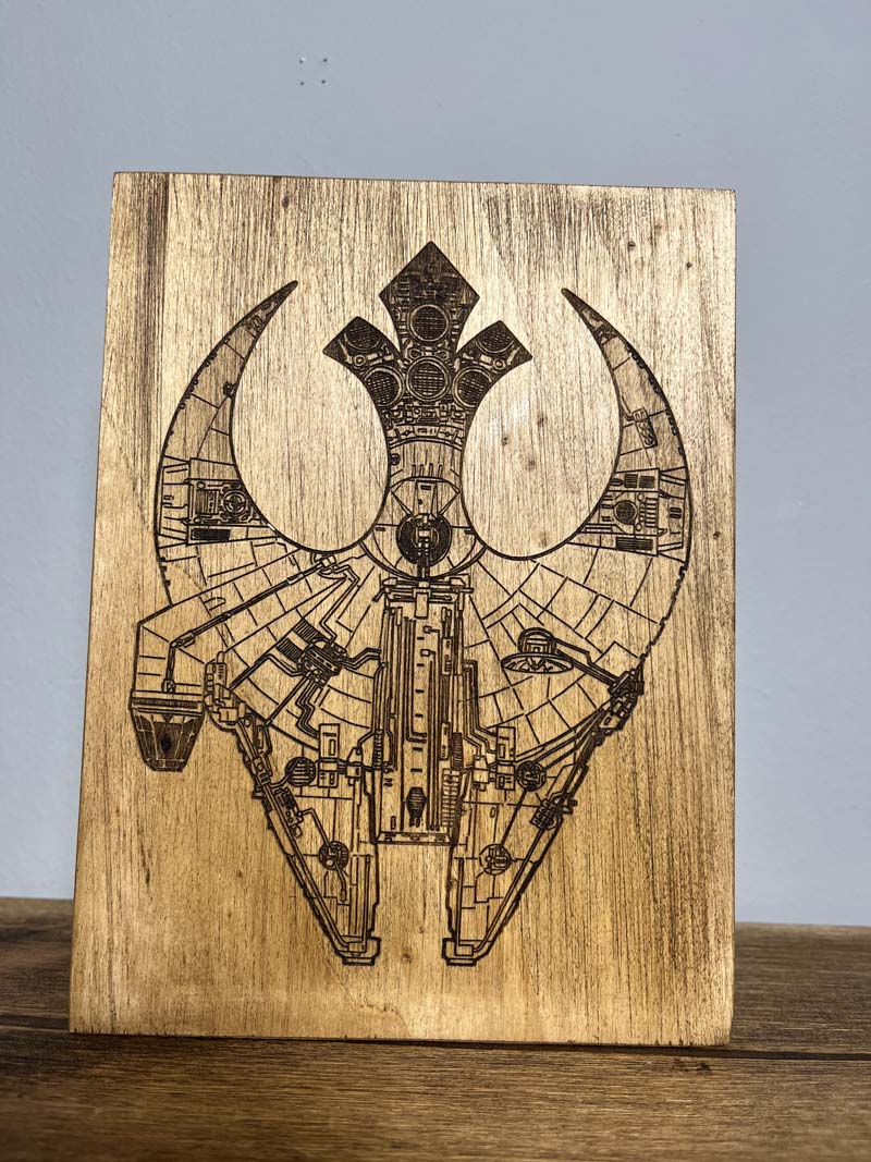 Rebel Falcon